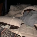 디퍼펜션 | 대충 24년 상반기 💬