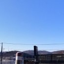 레이크포레스트&백운메밀 이미지