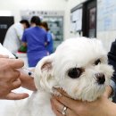 인제종합동물병원 이미지