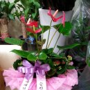 미래비뇨기과의원 이미지