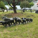 아프리카예술박물관 캠핑장 이미지