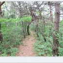 분천리경로당 이미지