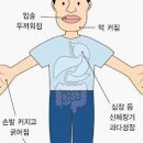 뇌하수체 종양 , 뇌하수체 호르몬 변화 (선종, 기능저하증) 이미지