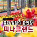 11545-05-22-26 | 서울근교 튤립정원의 끝판왕 충남 아산 [피나클랜드]