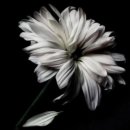 조치원_중앙요양병원 이미지