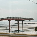 언니네해물손칼국수 이미지