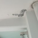 극동(아) 이미지