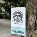 [강원도 민트초코캠핑장] 타프존, 개별 울타리, 개별 화장실이 있는 애견동반캠핑장 C-1 사이트 후기