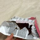 낭창한 강아지 | 한끼 사료로 강아지 관절, 피부, 염증관리까지 되는 오메가-3 '스페시픽 사료'