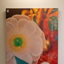 재현통상 | 덕수궁 돈덕전 반화 상서로운 마음 전시 후기, 한프랑스 수교 140주년 특별전