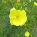 파동공원 이미지