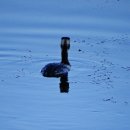 새바지길 이미지