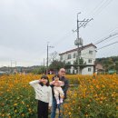 올리브찬방 | 경주 펜션 수영장 있는 몽블랑 가성비 좋았던 곳 올리브투룸형 이용후기