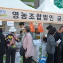 금가돈