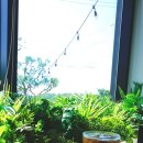 주식회사 큐로드 | [경남 함안 카페/경남 대형 카페] 세븐에이치