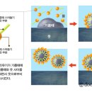 계면활성제 이미지