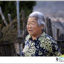 뼝창마을 이미지