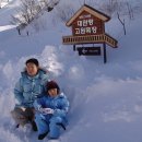 고원목장(2) 이미지