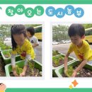 신양유치원 이미지