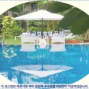 Tiger Paradise Gym | 푸켓 여행객 필독 더 로컬 호텔 푸켓 추천 &amp; 솔직 후기