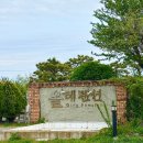 포항 애견펜션 추천! 올레애견펜션,글램핑 숙박 찐후기