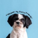 굿모닝건강스토어 이미지