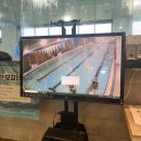 하이풀 스포츠 | [롯데몰은평점] 구파발 하이풀스포츠 수영장 성인강습 후기