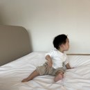 456팬션 이미지
