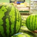 쇼핑초이스 이미지