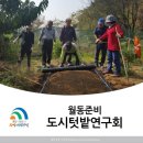 월동소류지 이미지