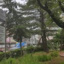 활천공원 이미지