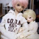 아루보리 이미지