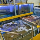 완도수산 이미지