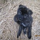 연산초교 이미지