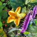 주촌경로당 이미지