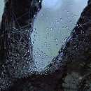 10월펜션 이미지