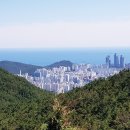 장산목장 이미지