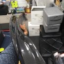 일광자동차공업사 이미지