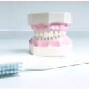 더나은치과기공소 이미지