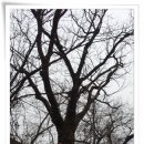 원터목장 이미지