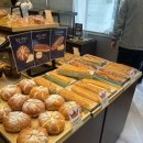 한솔동주민센터 | 세종 한솔동 팡쇼과자점 버터떡 두바이쫀득쿠키 세종빵집 한솔동맛집