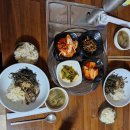 고사리 쉼터 | [강원도정선맛집]민둥산쉼터식당,민둥산산채비빕밥 ~아침한끼 굿 👍