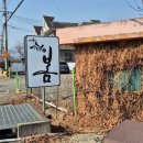 산외로 | [2026.02 밀양여행] 1919봄 | 고즈넉한 분위기에서 힐링하고 온 밀양한옥카페 밀양카페추천