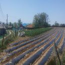 하점면-2 이미지