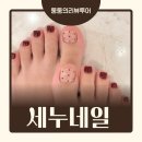 지니네일(jini-nail) | 전주 중화산동 네일 추천 [세누네일] 네일에 이어 페디까지 만족스러웠던 재방문 후기