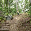 충주호 종댕이 이미지