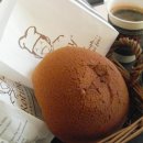 로티보이 이미지