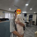 세븐일레븐 포항연일점 이미지
