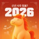 (주)사주나라 | AI 사주 후기 정확도, 사람과 챗GPT의 해석 차이 직접 비교해 보니