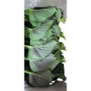 서진농장 이미지